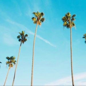 Happy shopping🛍💗🌴✨